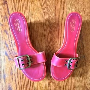 Last Chance!! COACH NWOT Wedge Sandal